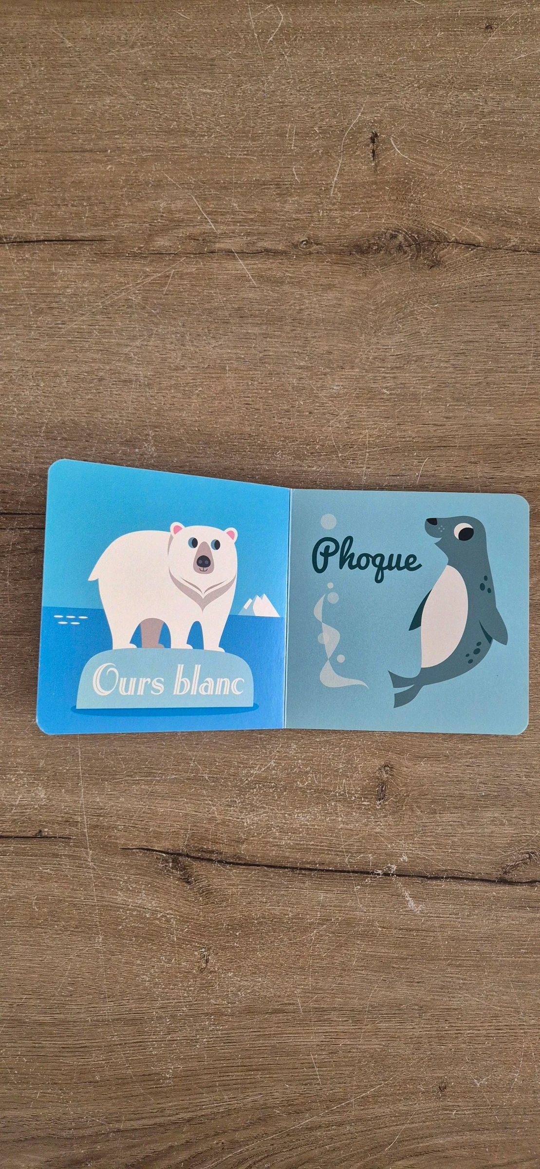 Imagier J'apprends les animaux Banquise et Océan – photo 5